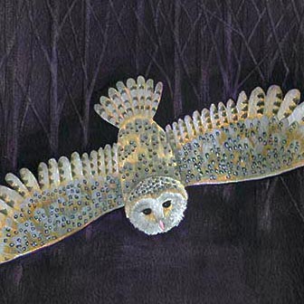 barn owl watercolour painting